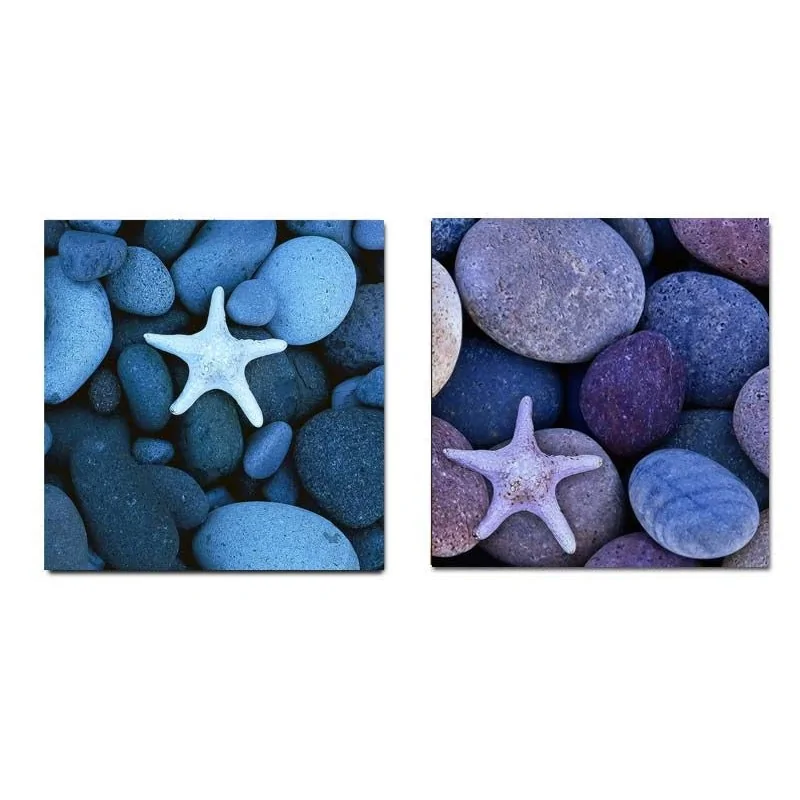 Dos estrellas de mar decorativas Arte y decoración Cuadros para el baño 